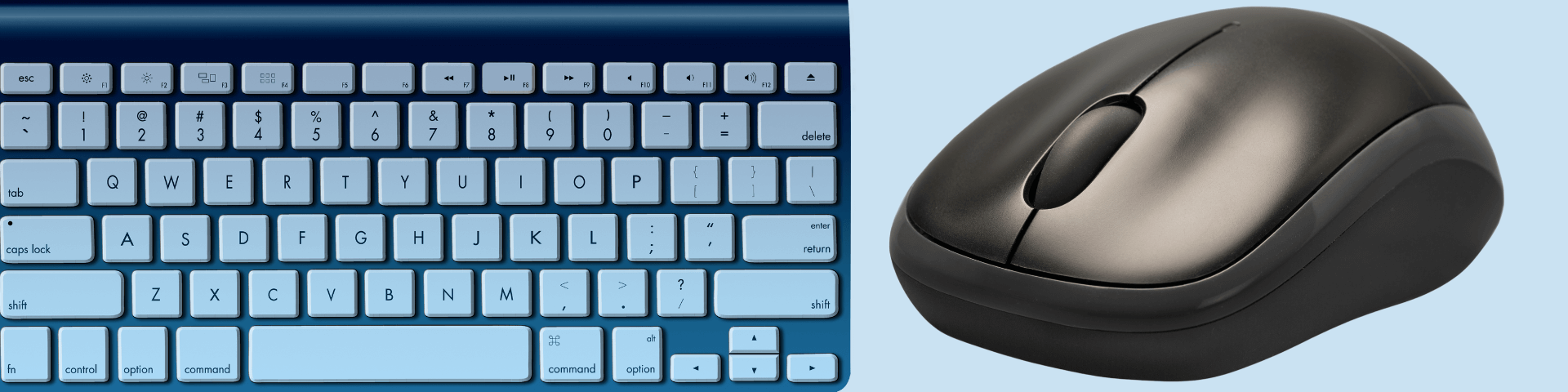 input devices keyboard mouse